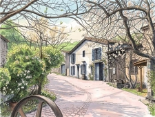 Boutique Organic Vineyard & 4-Suite Guest House – A Turnkey Lifestyle Business