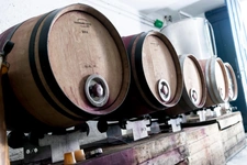 Boutique Organic Vineyard & 4-Suite Guest House – A Turnkey Lifestyle Business