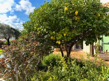 Mediterranean Architect Villa with Pool and 2,159 m² Garden – Close to Narbonne Centre
