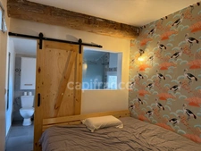 DOUZENS - 267 m² Property Complex: Character Loft + 83 m² Workshop + Terrace Project