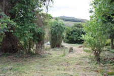 Terrain à vendre  LA TRINITE (972)