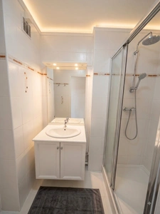 Grenoble Lumineux T3 Duplex idéal investisseur