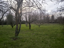 Charmante maison de village avec grand terrain arboré – Proche Sablé-sur-Sarthe
