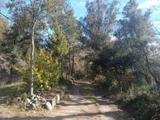 A vendre, Maison en pleine nature à fort potentiel !  (66)