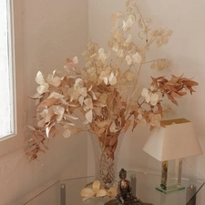 Maison à vendre 4 pièces SERRALONGUE (66)