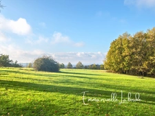 Stone estate with outbuildings and 5 hectares of nature – Monbazillac (24240)