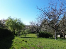 EN EXCLUSIVITÉ ! Maison de 145m² avec dépendances et terrain de 1900m² - LUXÉ (16)
