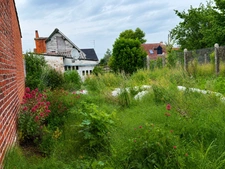 RACHES - LOT MAISON + Dépendance 