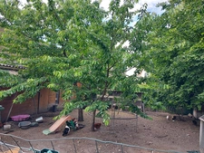 Maison à vendre 5 pièces CREIL (60)