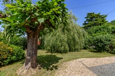 Maison 114 m2 à vendre 5 pièces BERGERAC (24)