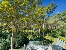 For sale: A haven of peace in the pine forest on a GOLF course at LACANAU OCEAN (33)