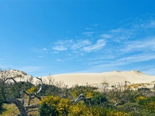 For sale: A haven of peace in the pine forest on a GOLF course at LACANAU OCEAN (33)