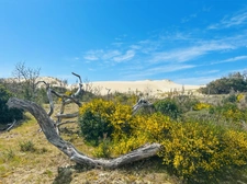 For sale: A haven of peace in the pine forest on a GOLF course at LACANAU OCEAN (33)