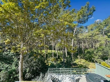 For sale: A haven of peace in the pine forest on a GOLF course at LACANAU OCEAN (33)