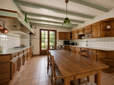 SAINT-PIERRE D'EYRAUD Maison à vendre 240 m2 - 8 pièces-6 chambres- 4 garages- 2 ateliers (24)
