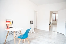 Appartement T3 de Caractère Rénové & Sa Dépendance Privative (en sus) - MONTAUBAN (82)