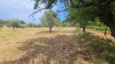 Terrain à vendre  CUERS (83)