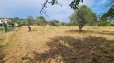 Terrain à vendre  CUERS (83)