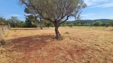 Terrain à vendre  CUERS (83)