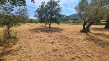Terrain à vendre  CUERS (83)