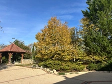 House for sale,  CHAMPS SUR YONNE (89) Magnificent property of 272 m², 6 bedrooms, swimming pool, 4800 m² plot