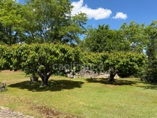 Maison à vendre CHAMPS SUR YONNE (89) Magnifique propriété de 272 m² 6 Chambres Piscine Terrain de 4800 m2