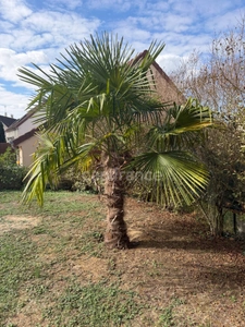 House for sale, 5 rooms, 91 m², SAINT GEORGES SUR BAULCHE (89), 3 bedrooms, garage, land 