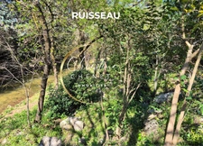 Opportunité Viager sans rente – Appartement 122 m² avec terrain et piscine à Saint-Brès