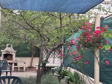 Maison à vendre 7 pièces MONTPELLIER (34)