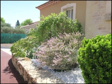 Dpt Gard (30), for sale near CALVISSON Mason's house of 174 m² - Land of 2291 m²