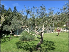 Dpt Gard (30), for sale near CALVISSON Mason's house of 174 m² - Land of 2291 m²