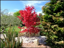 Dpt Gard (30), for sale near CALVISSON Mason's house of 174 m² - Land of 2291 m²