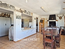 Mazet - Cabane de chasseur 