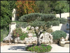 Dpt Gard (30), for sale near CALVISSON Mason's house of 174 m² - Land of 2291 m²