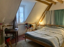 Townhouse - 4 rooms CHATILLON COLIGNY (45)