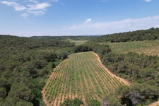 ? À vendre – Vignoble de 1,5 ha avec fort potentiel – Creissan (34370)