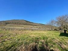 Terrain à vendre de 2 211,00 m² CHATENOIS (67)