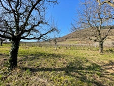 Maison à vendre 2 pièces CHATENOIS (67)