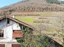 Maison à vendre 2 pièces CHATENOIS (67)