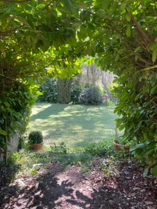 Maison de Maître 10 pièces sur 3 hectares proche Manosque , entre campagne et champs de lavandes 