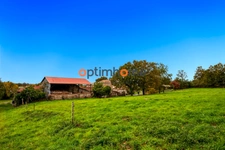 49300 Cholet - corps de ferme – 4 ha – Potentiel gîtes ou maison d'hôtes - revenus fonciers et locatifs - charme de l'ancien - dépendances