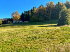 Terrain à vendre de 1036  Proche de GERARDMER (88)