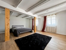 67170 OLWISHEIM – Maison 120 m² – Pièce de vie 51 m² – Sous-sol – Terrasse