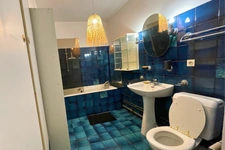 ST MANDE (94) - STUDIO 35 M2 + JARDIN ARBORE PRIVATIF 30 M2 – CALME – PROCHE TRANSPORTS, COMMERCES ET BOIS DE VINCENNES
