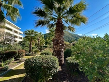 T3 de charme avec Terrasse et Box en sus – Marseille 9e, Traverse Regny – secteur Cabot / Saint-Tronc