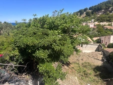 LES GOUDES 13008 – TERRAIN À BÂTIR AVEC VUE MER ET COLLINES