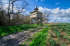 CASTRES (81100) PROPRIÉTÉ D’EXCEPTION - Parc 5 Ha - 14 Pièces - Écurie - Dépendances - Pigeonnier
