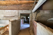 CASTRES (81100) PROPRIÉTÉ D’EXCEPTION - Parc 5 Ha - 14 Pièces - Écurie - Dépendances - Pigeonnier