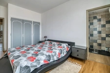 Maison individuelle rénovée 300 m² avec piscine, terrain CLOS vu sur les Pyrennées et appartement indépendant 