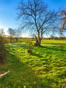 Domaine de caractère à Saint-Lon-les-Mines – 545 m² habitables sur 5 hectares